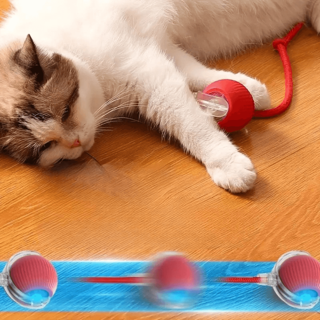 KittyBall - interaktywna piłeczka dla kotka